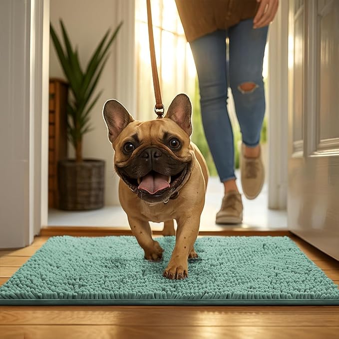 MudGuard Mat™ Dog Door Mat for Muddy Paws, Super Absorbent Microfiber, Non-Slip Indoor Mat, Quick Dry Chenille Mud Mat for Dogs & Entryway, Washable, Sea Green 16" x 24"