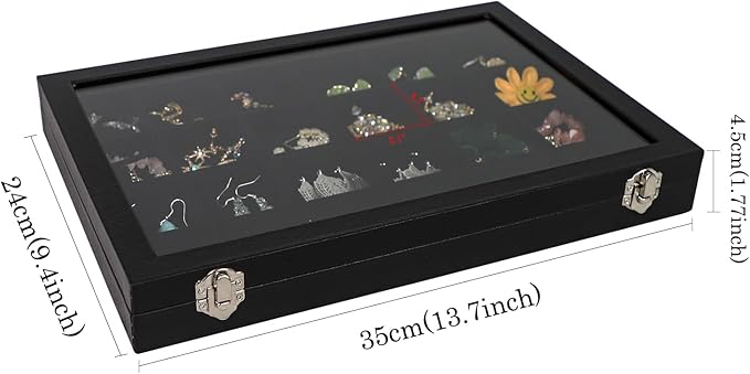 Wudygirl Jewelry Organizer Clear Lid 24 Grid Jewelry Box Case Organizer Showcase Display Jewelry Tray Removable Black Velvet Locked