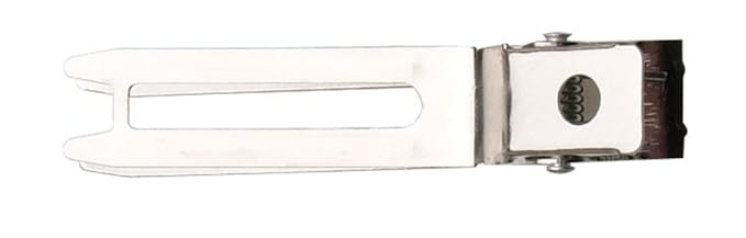 Diane 1.75" Double Prong Slide-in Clips, 80-Count