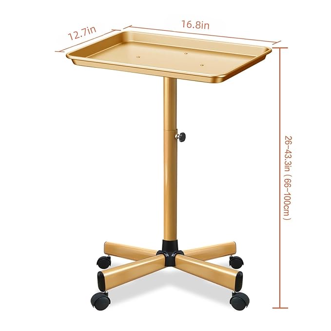 Premium Aluminum Salon Tray, Sturdy Corrosion-Resistant Adjustable Tray is Used for Salon Tray on Wheels, Salon Tool/Color Tray, Beauty Spa Tray, Dentist Tray, Etc.…(Gold)