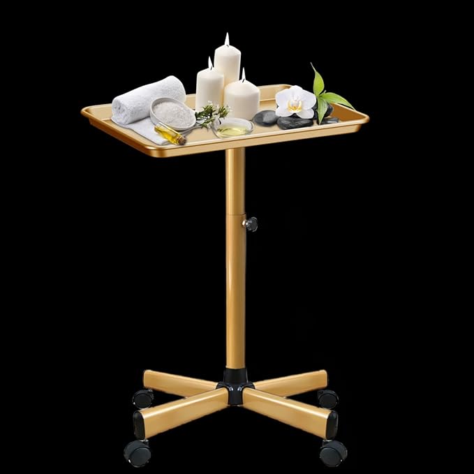 Premium Aluminum Salon Tray, Sturdy Corrosion-Resistant Adjustable Tray is Used for Salon Tray on Wheels, Salon Tool/Color Tray, Beauty Spa Tray, Dentist Tray, Etc.…(Gold)