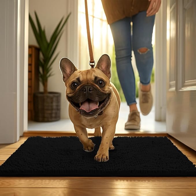 MudGuard Mat™ Dog Door Mat for Muddy Paws, Super Absorbent Microfiber, Non-Slip Indoor Mat, Quick Dry Chenille Mud Mat for Dogs & Entryway, Washable, Black 24" x 36"