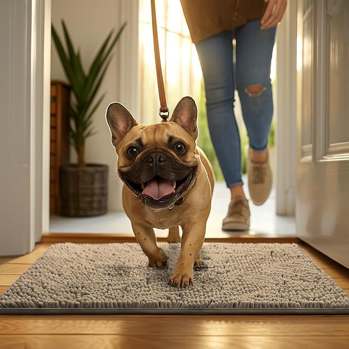 MudGuard Mat™ Dog Door Mat for Muddy Paws, Super Absorbent Microfiber, Non-Slip Indoor Mat, Quick Dry Chenille Mud Mat for Dogs & Entryway, Washable, Beige 24" x 36"