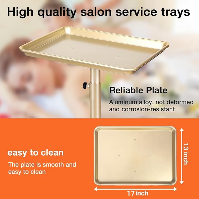 Salon Tray on Wheels, Champagne Gold Salon Tray Cart with Adjustable Height, Hair Stylist Tray, Metal Tattoo Tray, Suitable for SPA and Dental Tray