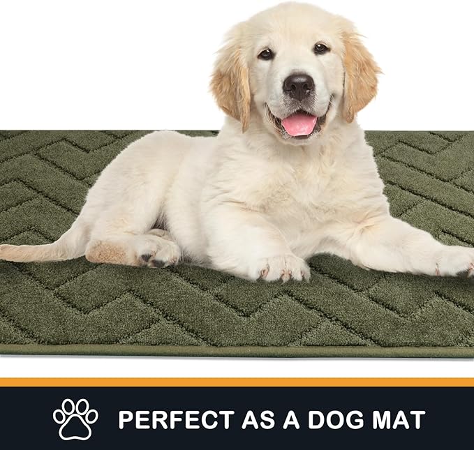 PURRUGS Dirt Trapping Door Mat 34" x 59", Non-Slip Machine Washable Entry Rug, Dog Doormat, Indoor Front Door Mat, Super Absorbent Entryway Rug for Muddy Shoes & Paws, Sage Green