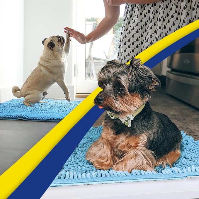 Muddy Mat® | Super Absorbent Door Mat Indoor, Microfiber Quick Dry Chenille Entryway Rug, Non-Slip Front Door Mat, Indoor Mats for Entryway, Machine Washable Pet Rug, Sky Blue 24"x35"