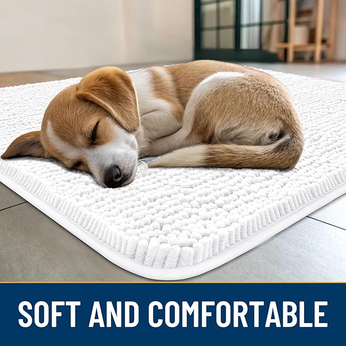 Smiry Dog Door Mat for Muddy Paws 30x20, Absorbs Moisture and Dirt Doormat, Non-Slip Washable Quick Dry Chenille Front Door Mat Indoor Entrance, Entryway Carpet for Inside Floor, White