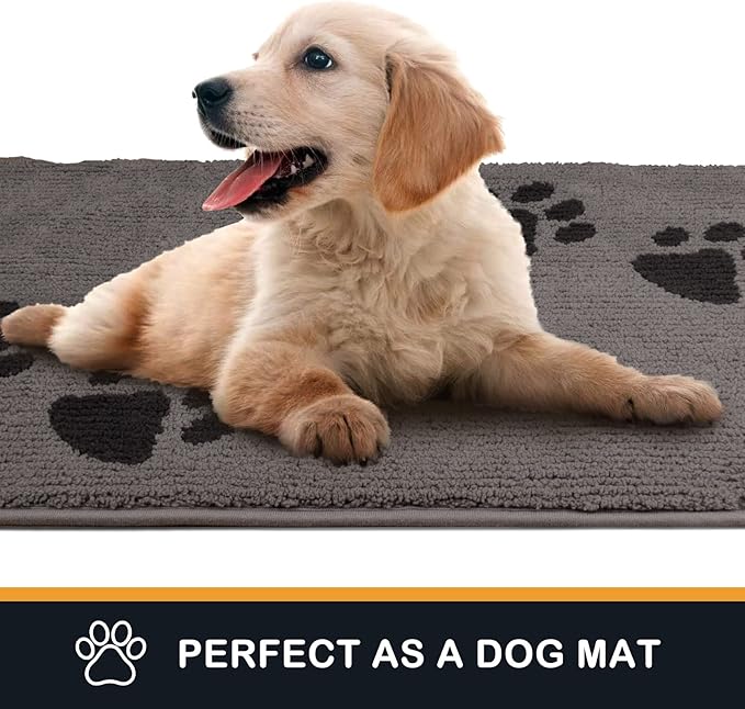 PURRUGS Dirt Trapping Door Mat 24" x 35.5", Non-Skid/Slip Machine Washable Microfiber Entrance Rug, Shoes Scraper, Dog Doormat, Super Absorbent Floor Mat for Muddy Wet Shoes and Paws, Light Grey