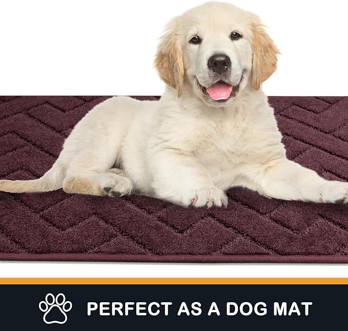 PURRUGS Dirt Trapping Door Mat 32" x 47", Non-Slip Machine Washable Entry Rug, Dog Doormat, Indoor Front Door Mat, Super Absorbent Entryway Rug for Muddy Shoes & Paws, Burgundy Red