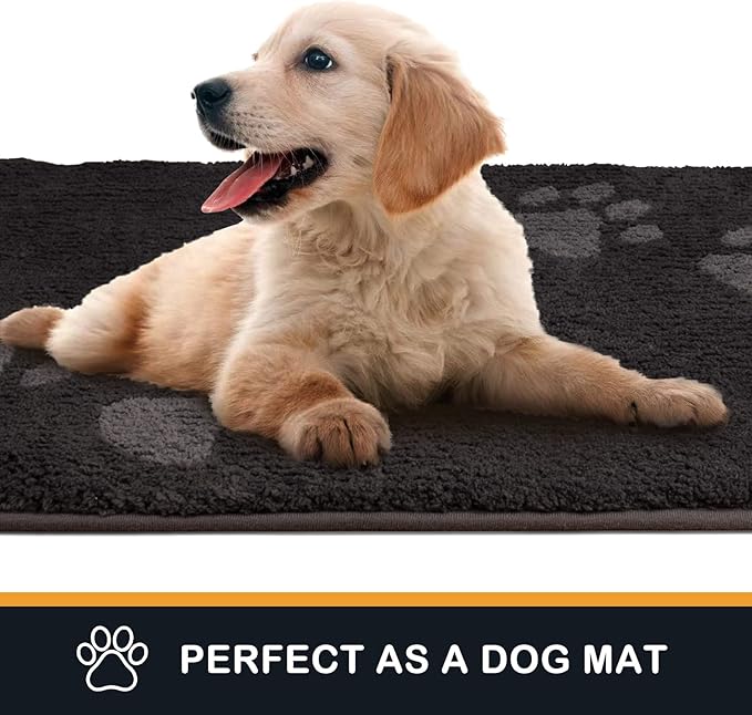PURRUGS Dirt Trapping Door Mat 20" x 31.5", Non-Skid/Slip Machine Washable Microfiber Entrance Rug, Shoes Scraper, Dog Doormat, Super Absorbent Floor Mat for Muddy Wet Shoes and Paws, Charcoal