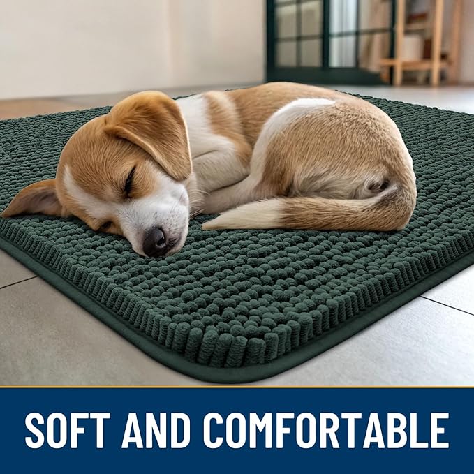 Smiry Dog Door Mat for Muddy Paws 59x24, Absorbs Moisture and Dirt Doormat, Non-Slip Washable Quick Dry Chenille Front Door Mat Indoor Entrance, Entryway Carpet for Inside Floor, Green
