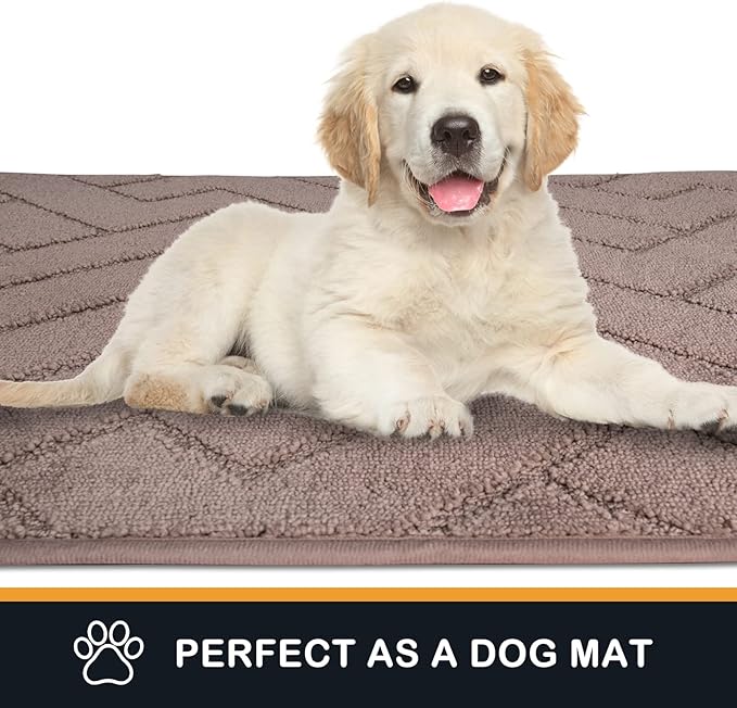 PURRUGS Dirt Trapping Door Mat 20" x 31.5", Non-Slip Machine Washable Entry Rug, Dog Doormat, Indoor Front Door Mat, Super Absorbent Entryway Rug for Muddy Shoes & Paws, Grayish Brown