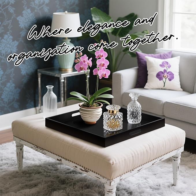 Glossy Black Acrylic Serving Tray with Handles-Butler Trays for Coffee Table, Snacks,Breakfast in Bed, Kitchen Countertop,Vanity,Makeup Organizer,Ottoman (Black, 24x24 Inches)