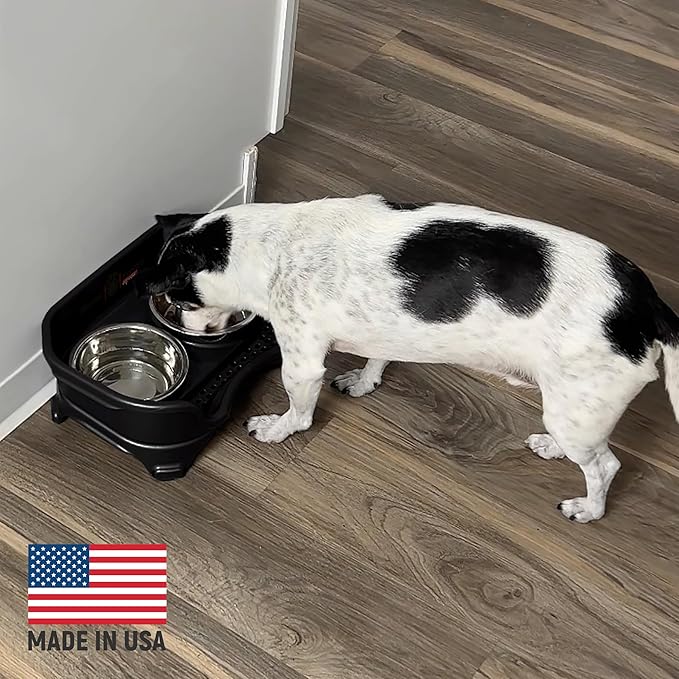 Neater Feeder Express Mess Proof Dog Bowls Elevated for Small Breeds Under 15 Lb, Made in USA, No Spill Raised Dog Food Bowl Stand, Stainless Steel Food and Water Bowl Set, Feeding Station, Black