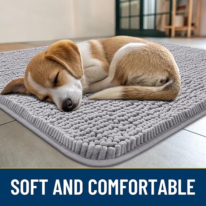 Smiry Dog Door Mat for Muddy Paws 30x20, Absorbs Moisture and Dirt Doormat, Non-Slip Washable Quick Dry Chenille Front Door Mat Indoor Entrance, Entryway Carpet for Inside Floor, Light Grey