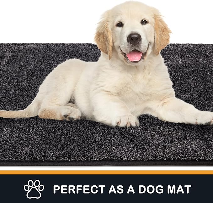 PURRUGS Dirt Trapping Door Mat 36" x 36", Non-Slip Machine Washable Entryway Rug, Dog Doormat, Indoor Front Door Mat, Super Absorbent Entry Rug for Muddy Shoes & Paws, Charcoal