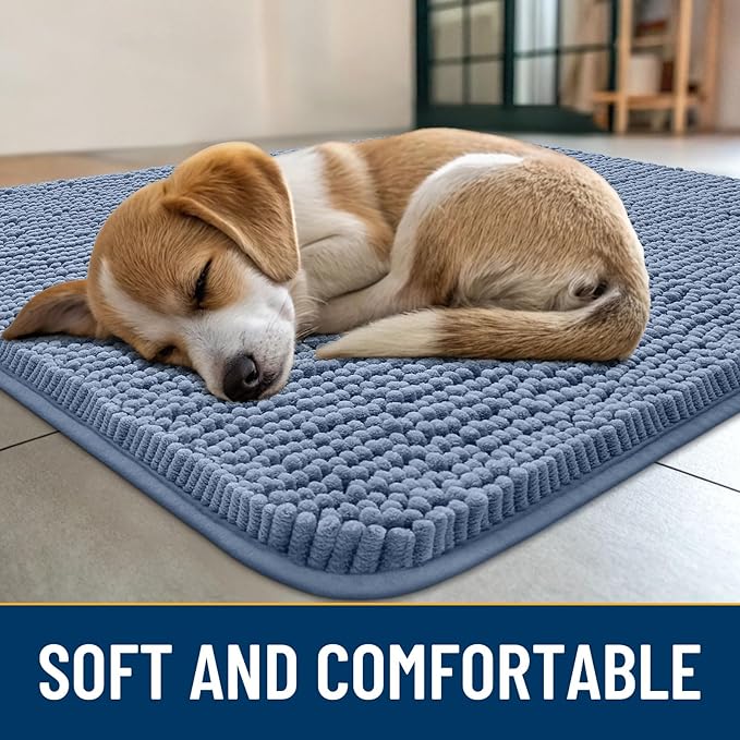 Smiry Dog Door Mat for Muddy Paws 47x32, Absorbs Moisture and Dirt Doormat, Non-Slip Washable Quick Dry Chenille Front Door Mat Indoor Entrance, Entryway Carpet for Inside Floor, Airy Blue