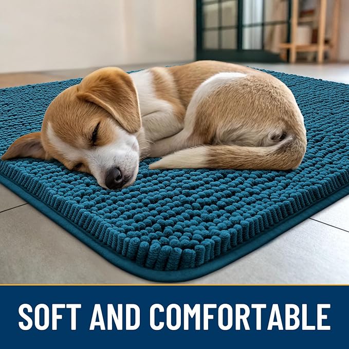Smiry Dog Door Mat for Muddy Paws 30x20, Absorbs Moisture and Dirt Doormat, Non-Slip Washable Quick Dry Chenille Front Door Mat Indoor Entrance, Entryway Carpet for Inside Floor, Atlantic Blue