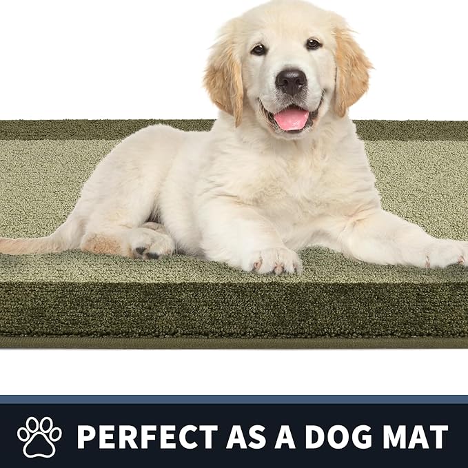 PURRUGS Dirt Trapping Door Mat 24" x 60", Non-Slip Washable Entry Mat, Dog Doormat, Front Door Mat, Super Absorbent Entrance Mat for Muddy Shoes & Paws, Budding Green & Sage Green