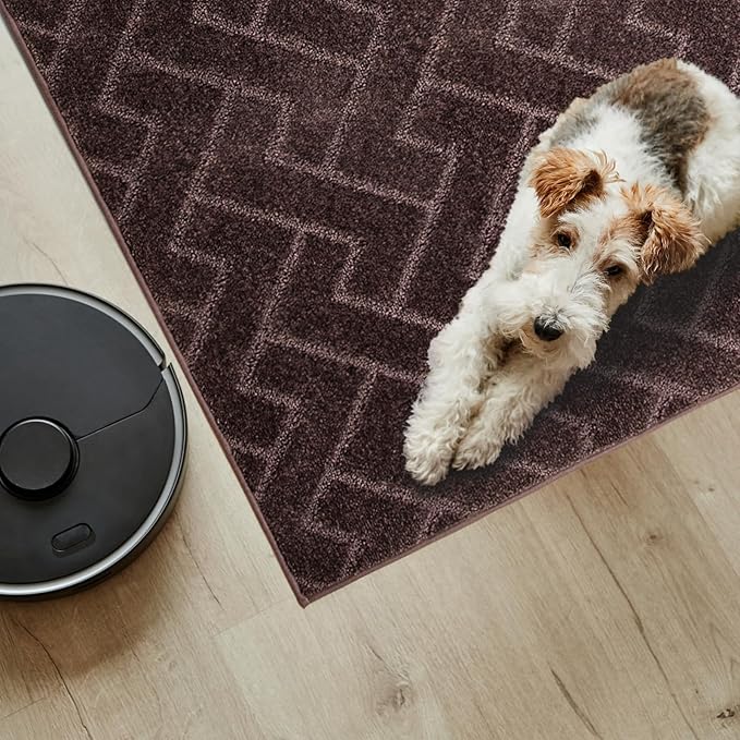 PURRUGS Easy Care Area Rug 4ft x 6ft, Non-Slip Machine Washable Entry Rug, Dog Door Mat, Stain Resistant Accent Rug for Hallway, Bedroom, Living Room and Mudroom, Brown