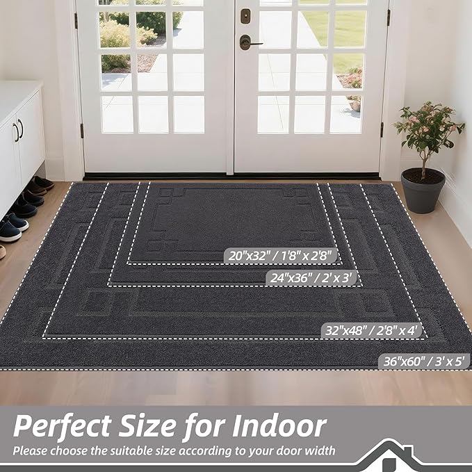 BEQHAUSE Door Mat 24" x 36", Non-Slip Door Mats Indoor Entryway Rugs Washable Low-Profile Absorbent and Stain Resist Floor Mats, Dog Door Mat for Front Back Door, Mud Wet Shoes & Paws, Dark Grey